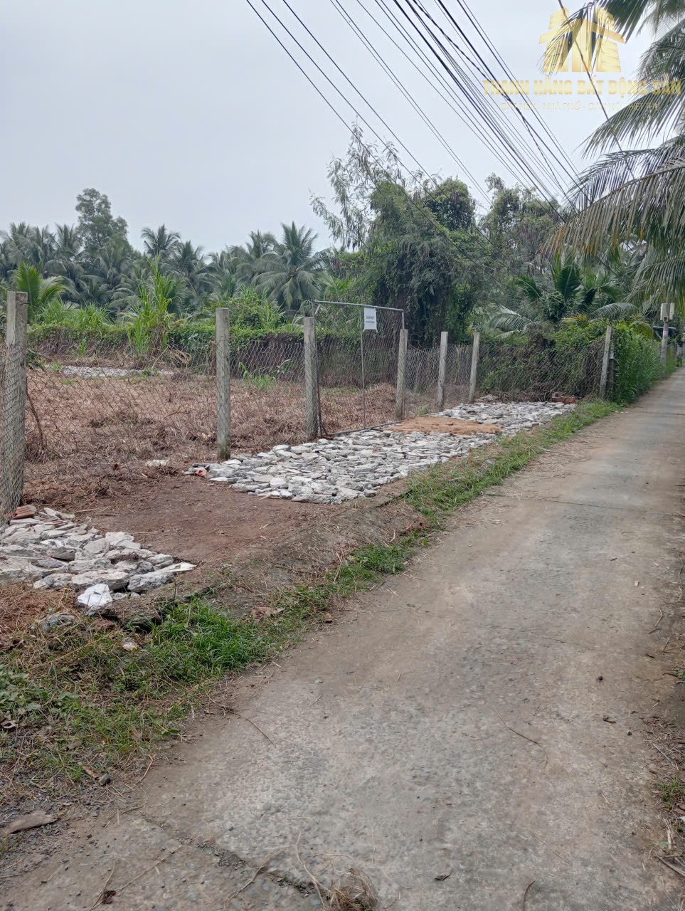 sơn đông(2)